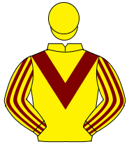 YELLOW, maroon chevron, yellow sleeves, 1 maroon stripe down top centre of each sleeve, yellow cap