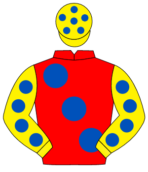 RED, large royal blue spots, yellow sleeves, royal blue spots, yellow cap, royal blue spots