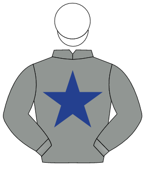 GREY, dark blue star, white cap                                                                                                                       