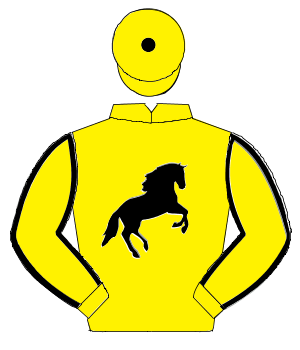 YELLOW, black horse, yellow sleeves, dual black pinstripes, yellow cap, black tassel