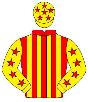 RED & YELLOW STRIPES, yellow sleeves, red stars, yellow cap, red stars                                                                                