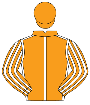 ORANGE, white seams, striped sleeves, orange cap                                                                                                      