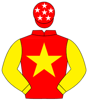 RED, yellow star & sleeves, red cap, white stars                                                                                                      