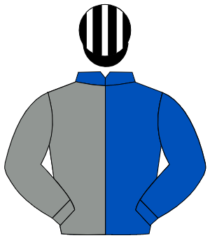 ROYAL BLUE & GREY HALVED, grey sleeve, royal blue sleeve, black & white striped cap
