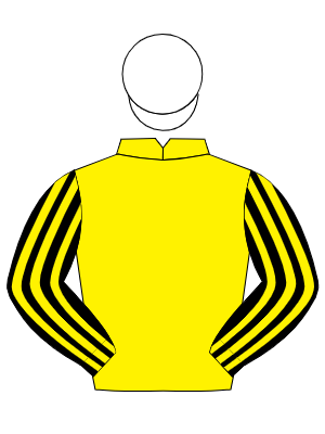 YELLOW, black & yellow striped sleeves, white cap