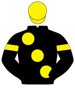 BLACK, large yellow spots, yellow armlet, yellow cap