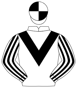 WHITE, black chevron, striped sleeves, quartered cap
