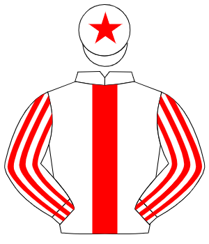 WHITE, red panel, striped sleeves, red star on cap