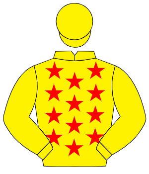 YELLOW, red stars, yellow sleeves & cap