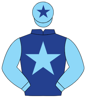 DARK BLUE, light blue star & sleeves, light blue cap, dark blue star