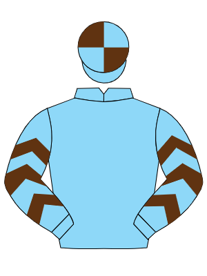 LIGHT BLUE, brown chevrons on sleeves, quartered cap