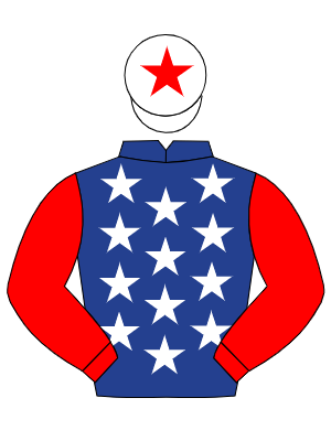 DARK BLUE, white stars, red sleeves, white cap, red star