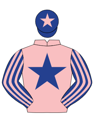 PINK, dark blue star, dark blue & pink striped sleeves, dark blue cap, pink star