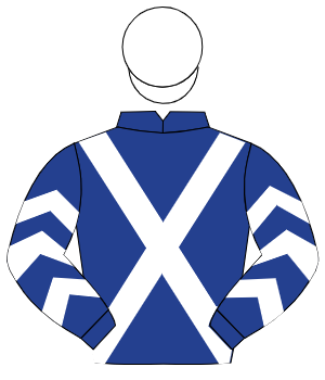 DARK BLUE, white cross sashes, white chevrons on sleeves, white cap