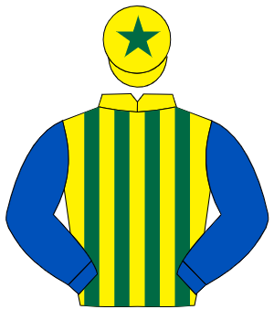 YELLOW & DARK GREEN STRIPES, royal blue sleeves, yellow cap, dark green star