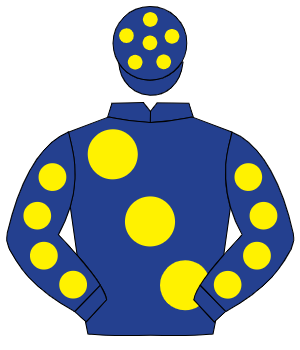 DARK BLUE, large yellow spots, yellow spots on sleeves, dark blue cap, yellow spots