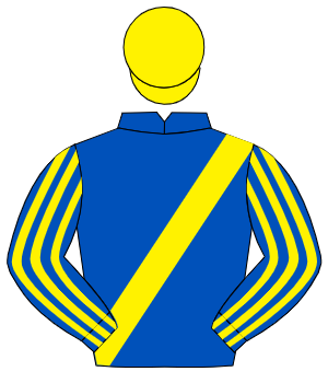 ROYAL BLUE, yellow sash, striped sleeves, yellow cap
