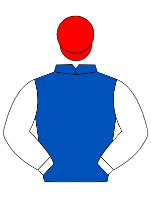 ROYAL BLUE, white sleeves, red cap