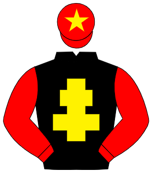 BLACK, yellow cross of lorraine, red sleeves, red cap, yellow star