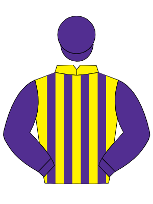 YELLOW & PURPLE STRIPES, purple sleeves & cap