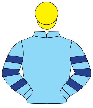 LIGHT BLUE, light blue & dark blue hooped sleeves, yellow cap