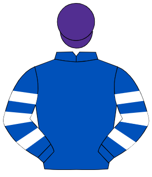 ROYAL BLUE, royal blue & white hooped sleeves, purple cap