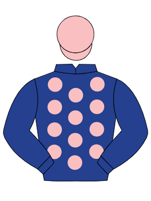 DARK BLUE, pink spots, dark blue sleeves, pink cap