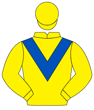 YELLOW, royal blue chevron, yellow cap