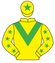 YELLOW, emerald green chevron, emerald green stars on sleeves, emerald green star on cap