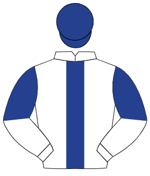 WHITE, dark blue panel, halved sleeves, dark blue cap