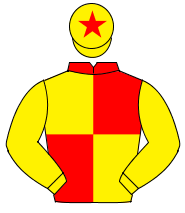 RED & YELLOW QUARTERED, yellow sleeves, yellow cap, red star                                                                                          