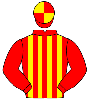 RED & YELLOW STRIPES, red sleeves, quartered cap                                                                                                      