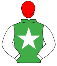 EMERALD GREEN, white star & sleeves, red cap                                                                                                          