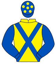 YELLOW, blue cross sashes, blue sleeves, blue cap with yellow spots                                                                                   