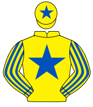 YELLOW, royal blue star, striped sleeves, yellow cap, royal blue star                                                                                 