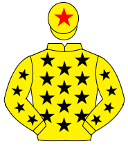 YELLOW, black stars, yellow cap, red star                                                                                                             