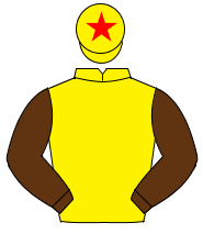YELLOW, brown sleeves, yellow cap, red star                                                                                                           