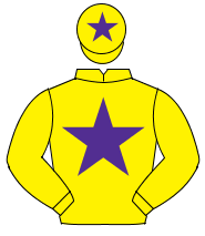 YELLOW, purple star, yellow cap, purple star