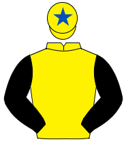 YELLOW, black sleeves, yellow cap, royal blue star                                                                                                    