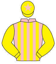PINK & YELLOW STRIPES, yellow sleeves, yellow cap, pink star                                                                                          