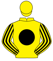YELLOW, black disc, striped sleeves, yellow cap                                                                                                       