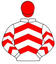 WHITE & RED CHEVRONS, red cap                                                                                                                         
