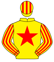 YELLOW, red star, striped sleeves & cap