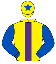 YELLOW, purple panel, royal blue sleeves, yellow cap, royal blue star                                                                                 