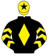 BLACK, yellow diamond, yellow chevrons on sleeves, yellow cap, black star                                                                             