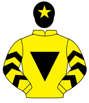 YELLOW, black inverted triangle & chevrons on sleeves, black cap, yellow star                                                                         