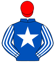 ROYAL BLUE, white star, striped sleeves, red cap                                                                                                      