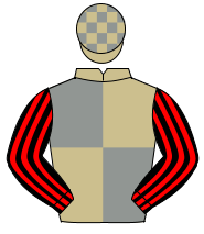 BEIGE & GREY QUARTERED, black & red striped sleeves, beige & grey check cap                                                                           