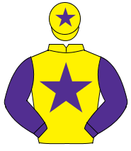 YELLOW, purple star & sleeves, purple star on cap                                                                                                     