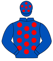 ROYAL BLUE, red spots, royal blue sleeves, red spots on cap                                                                                           